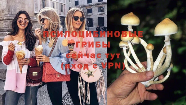 дживик Балахна
