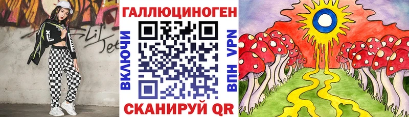 закладки  Каргат  гидра маркетплейс  Галлюциногенные грибы мицелий 