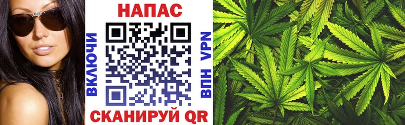 наркота  Каргат  Шишки марихуана ГИДРОПОН 